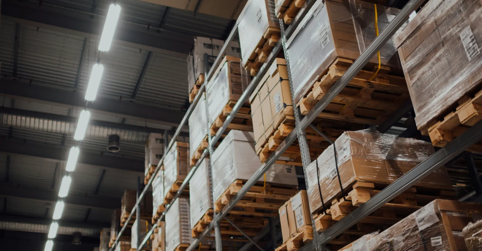 How explainable AI helped reduce warehouse order picking time by 1/4